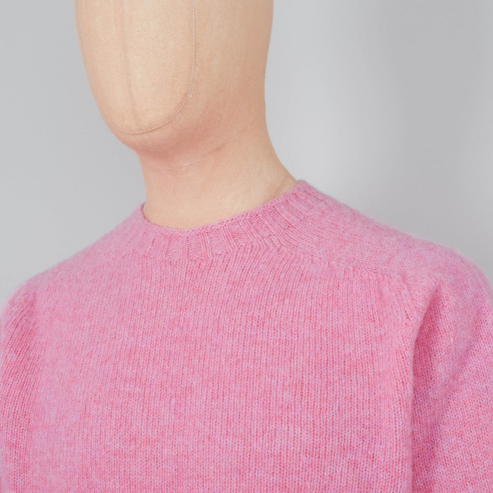 Howlin' Birth Of The Cool - Pinkypie