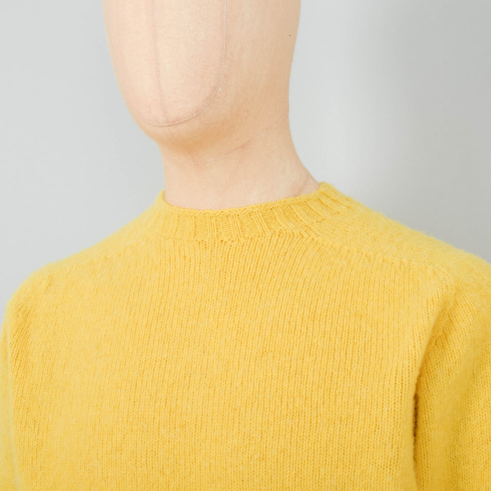 Howlin' Birth Of The Cool - Butter In The Sun