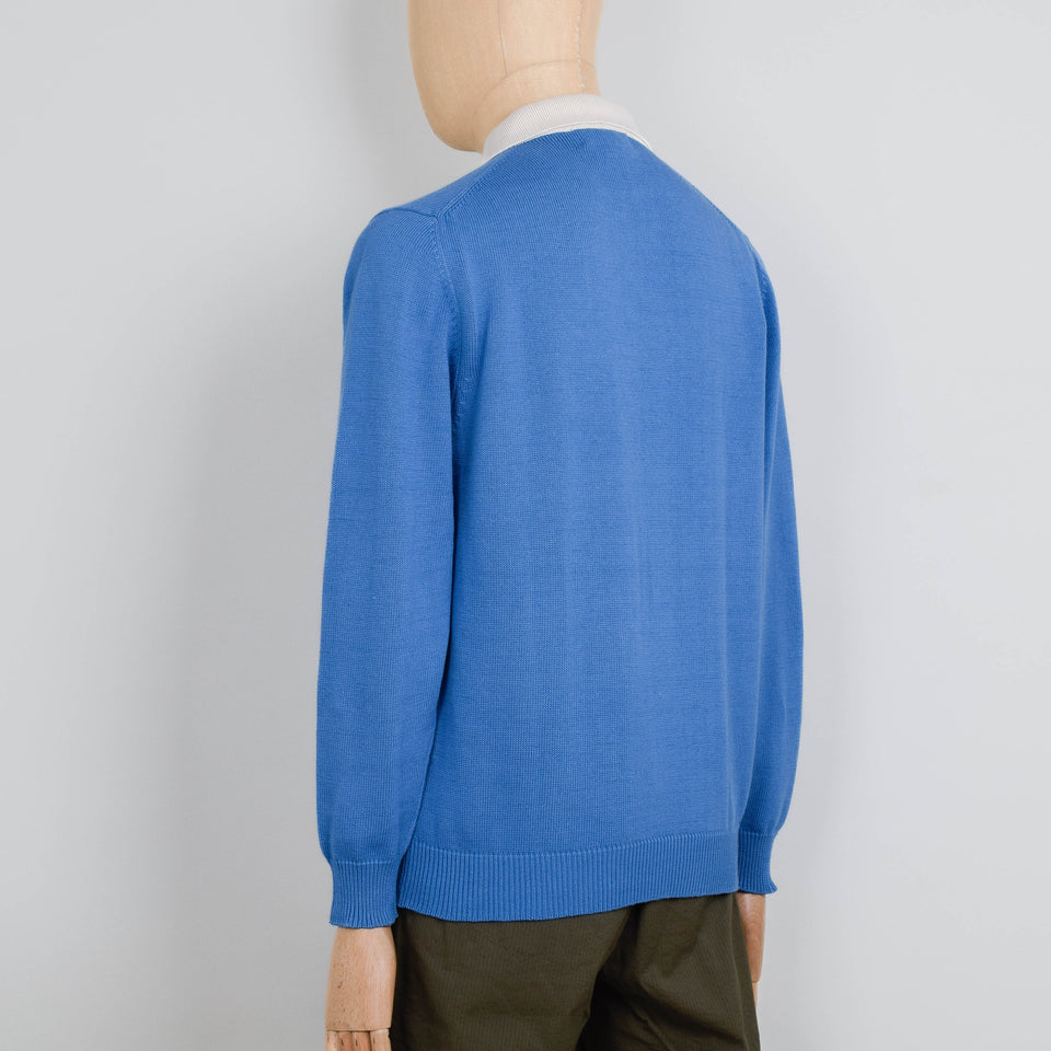 Pittari Rugby Shirt 10 GG - Delfino