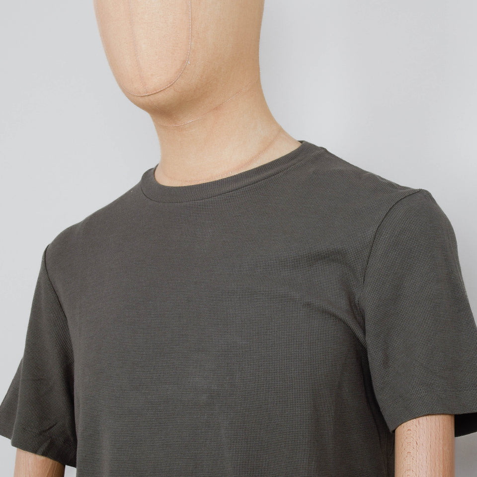 NN. 07 Clive SS - Capers